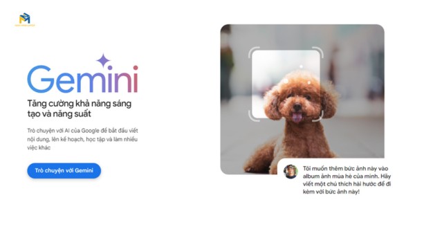 Cách tạo ảnh miễn phí bằng Imagen 3 trên Google Gemini mới nhất 2024 5