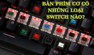 Tìm hiểu các loại switch bàn phím cơ